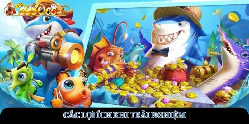 Các lợi ích khi trải nghiệm
