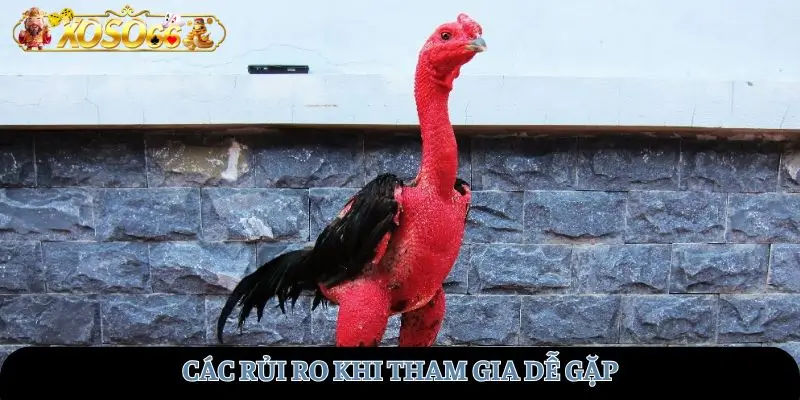 Các rủi ro khi tham gia dễ gặp