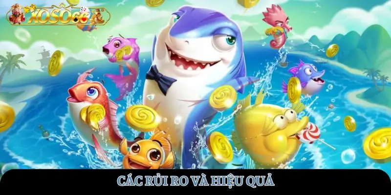 Các rủi ro và hiệu quả