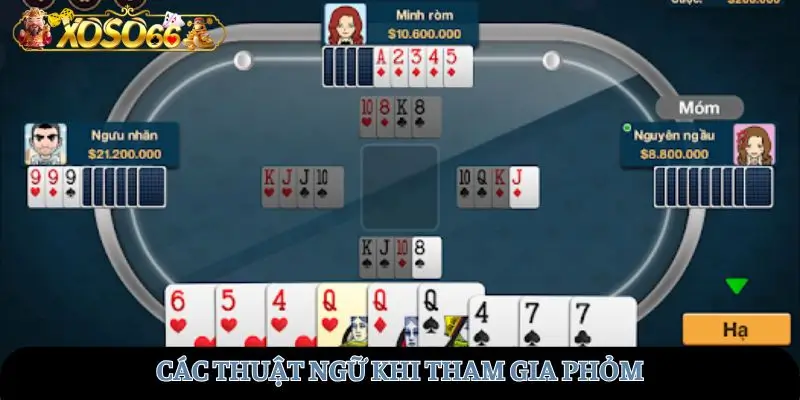 Các thuật ngữ khi tham gia phỏm