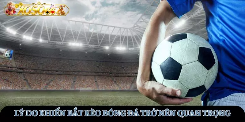 Lý do tại sao bắt kèo trong đá bóng lại quan trọng