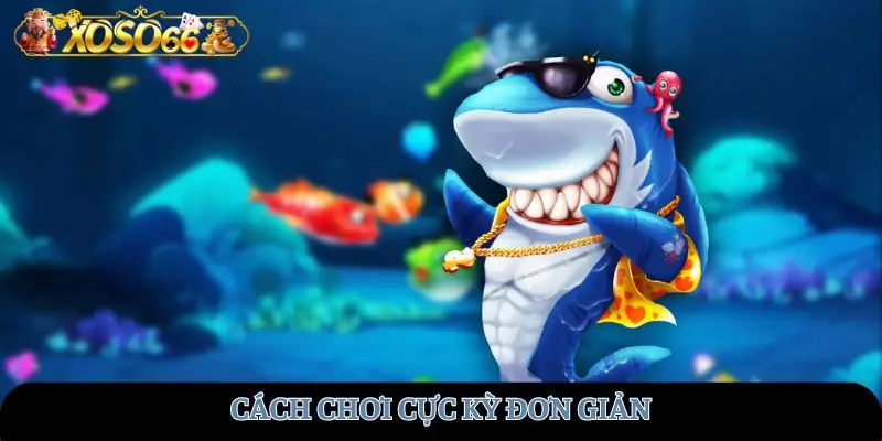 Cách chơi cực kỳ đơn giản