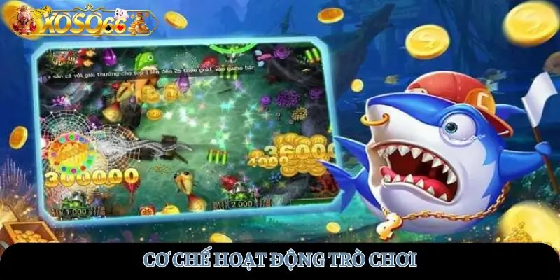 Cơ chế hoạt động trò chơi