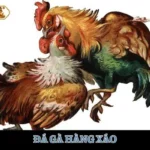 da-ga-hang-xao