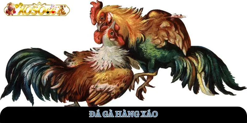 da-ga-hang-xao