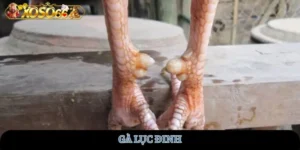ga-luc-dinh