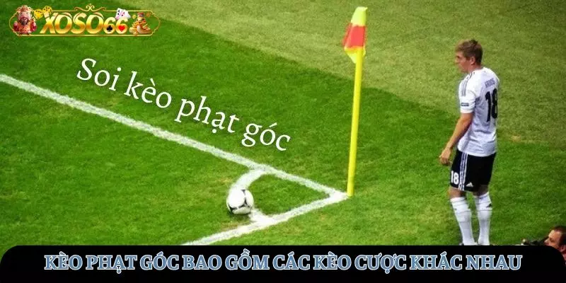 Kèo phạt góc bao gồm nhiều hình thức cược phổ biến