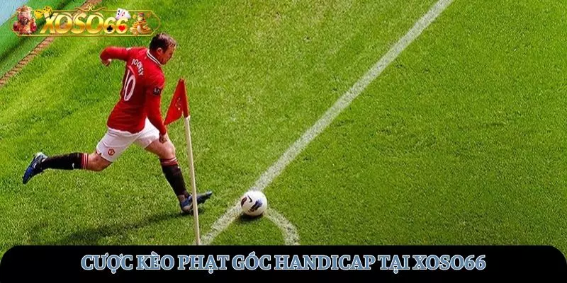Cược kèo phạt góc Handicap