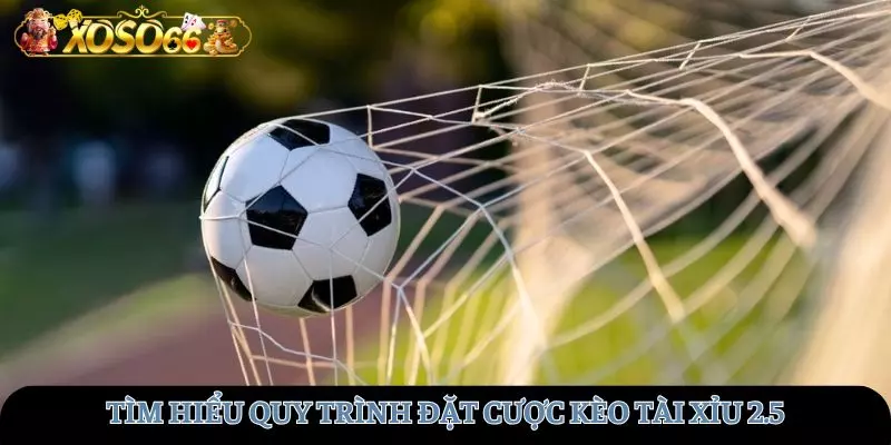Tìm hiểu quy trình đặt cược kèo tài xỉu 2.5