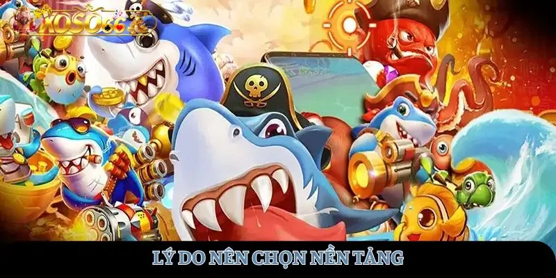 Lý do nên chọn nền tảng