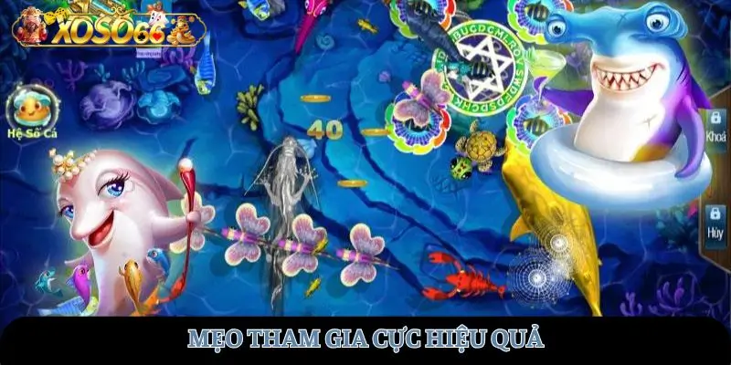 Mẹo tham gia cực hiệu quả