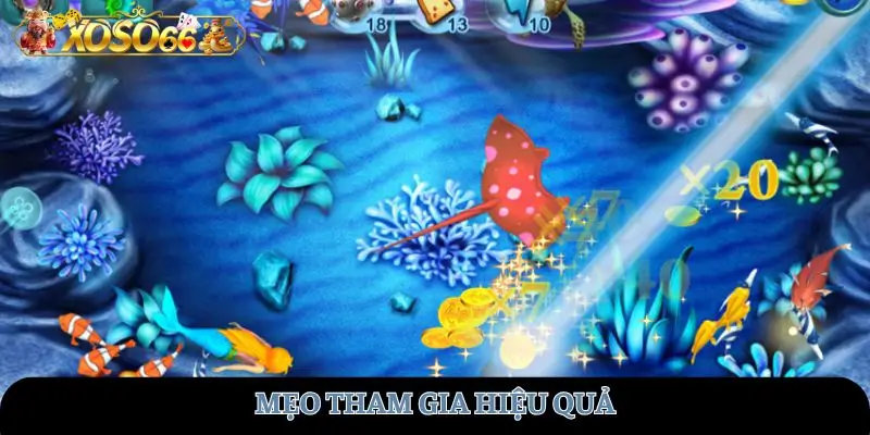 Mẹo tham gia hiệu quả