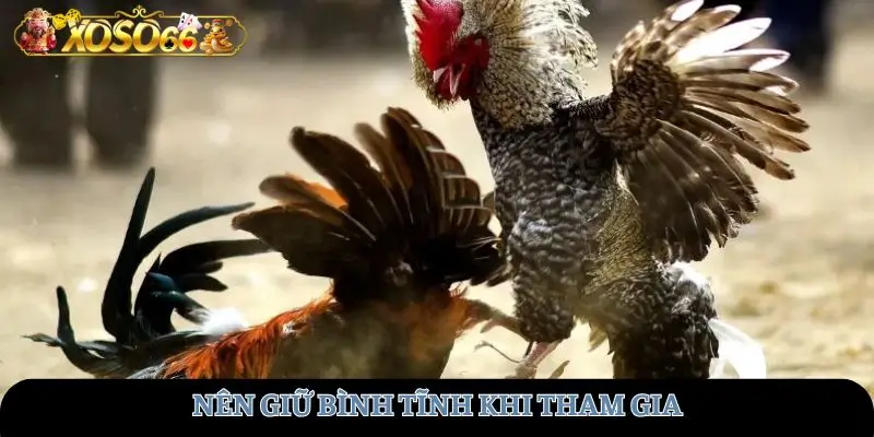 Nên giữ bình tĩnh khi tham gia