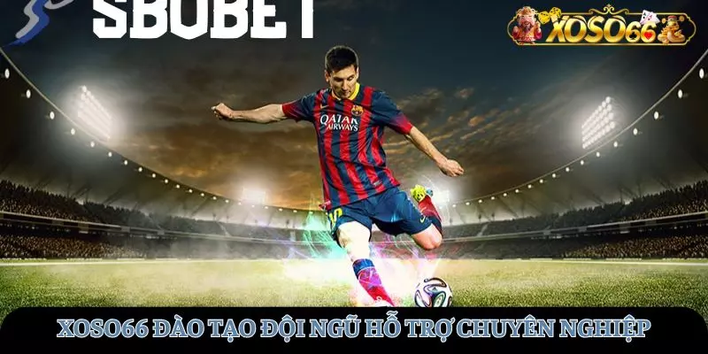 XOSO66 đào tạo đội ngũ hỗ trợ chuyên nghiệp