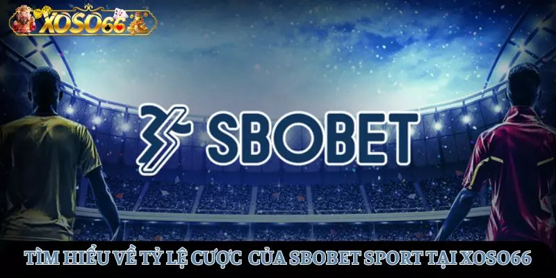 Tìm hiểu kỹ về tỷ lệ cược hấp dẫn của Sbobet sport tại XOSO66