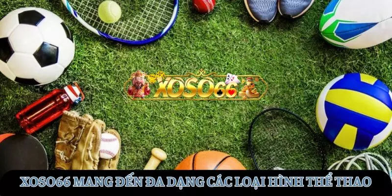 XOSO66 mang đến sự đa dạng của các môn thể thao