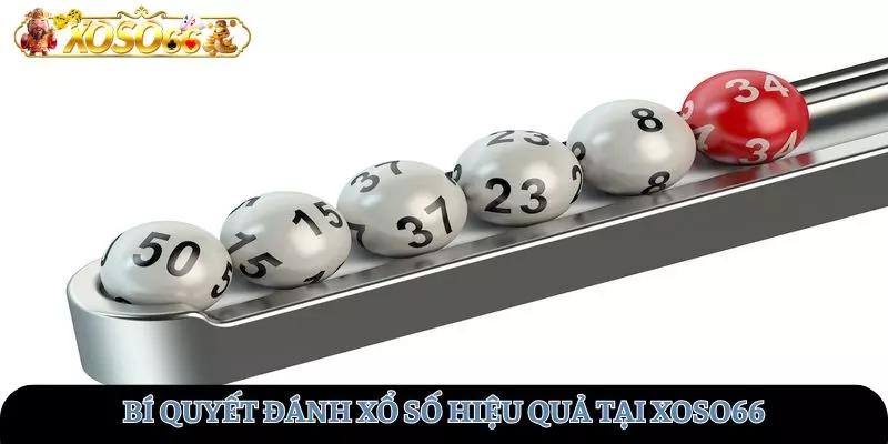 Bí quyết đánh xổ số hiệu quả tại XOSO66